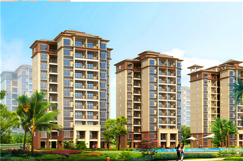 年轻的鸡即鲍汁焖鸡