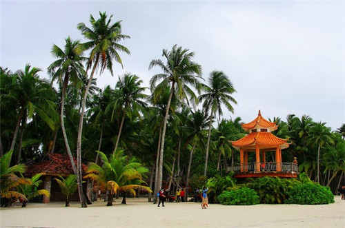 镇江金鼎轩锅盖面