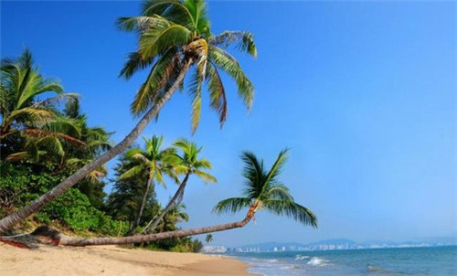 陶瓷密封罐品牌排行榜