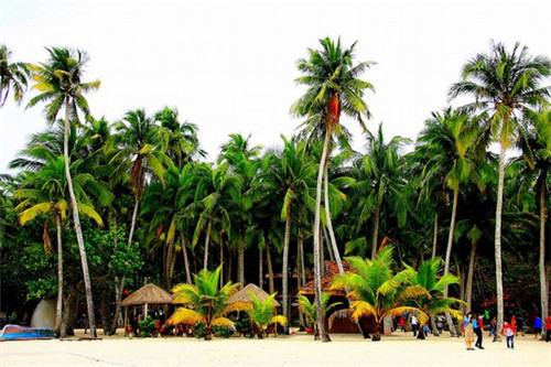 哪些智能魔镜加盟品牌值得信赖